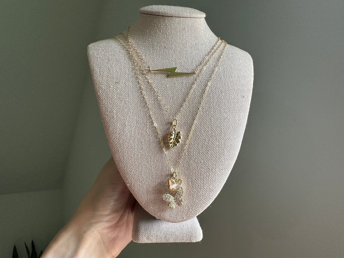 Voices of Resilience: Sharing the Stories of ALS Warriors