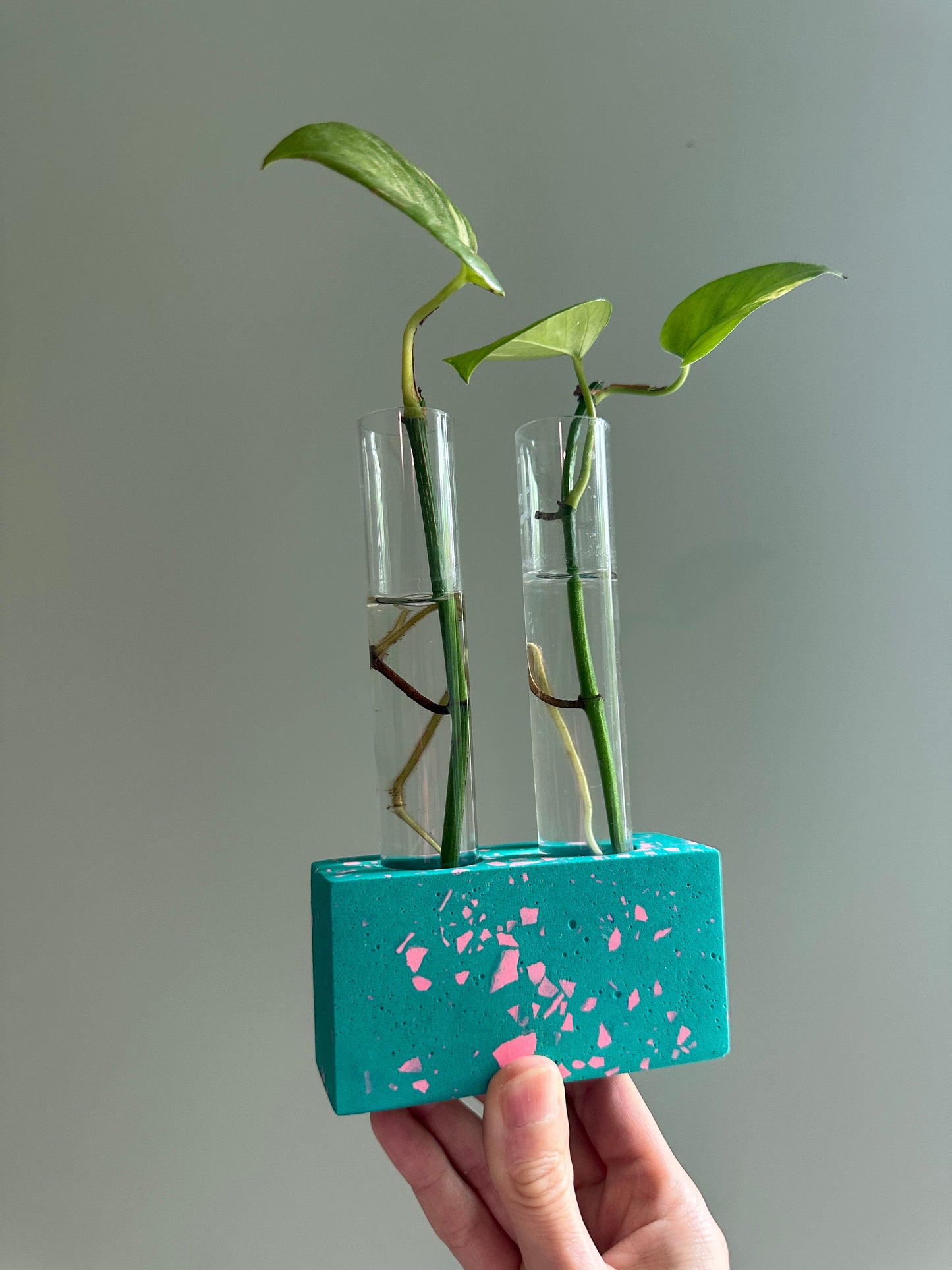 Mini Turquoise & Pink Terrazzo Propagation Holder