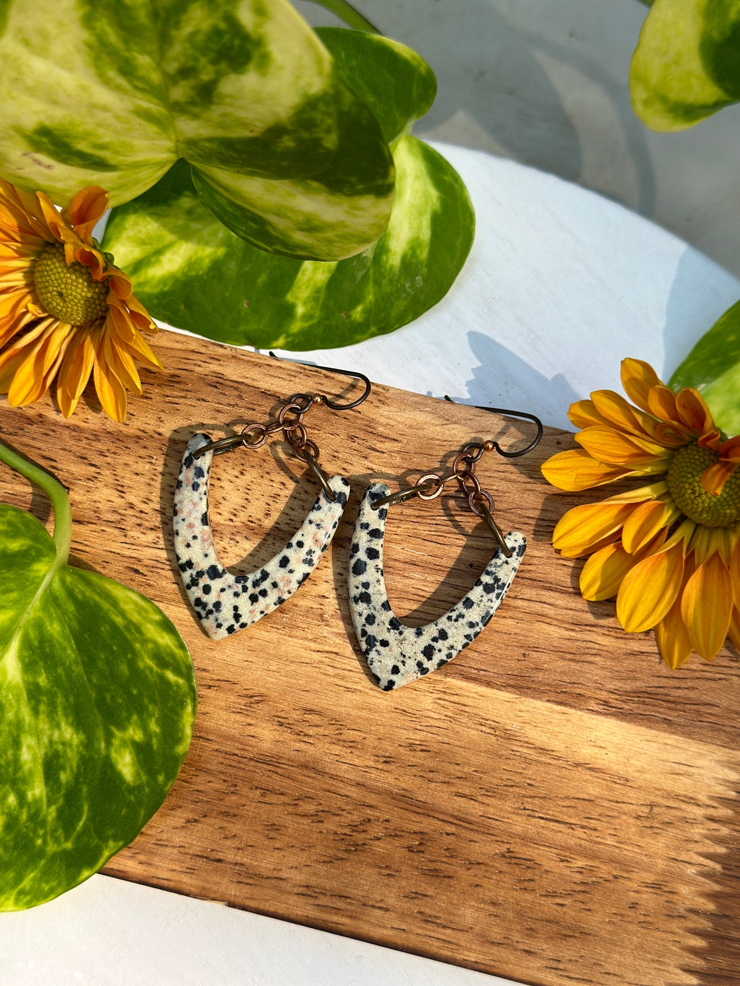 Dalmation Jasper Arrowhead Earrings
