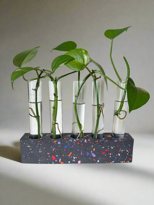 Black Base Terrazzo Propagation Holder
