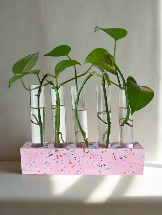 Pink Base Terrazzo Propagation Holder