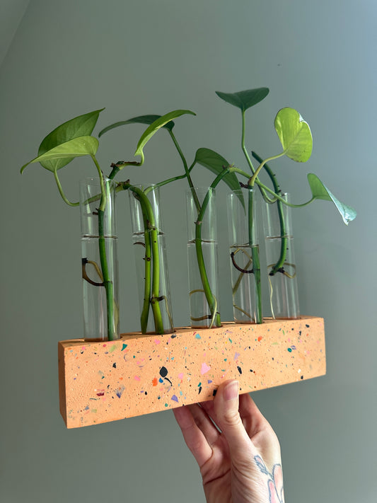 Orange Base Terrazzo Propagation Holder