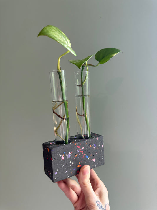 Mini Black Base Terrazzo Propagation Holder