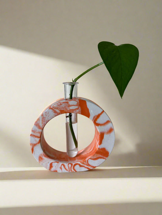 Orange Cream Swirl Propagation Holder