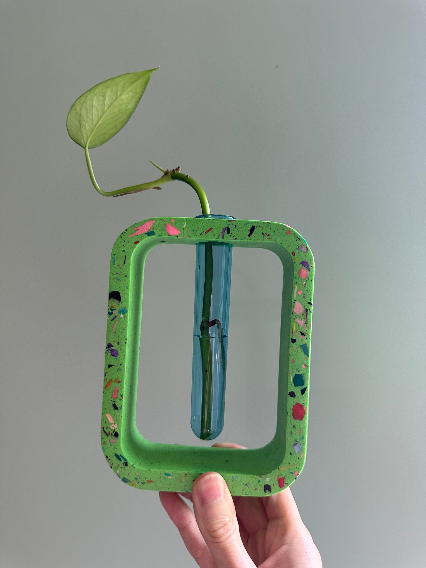 Green Terrazzo Propagation Holder (rectangle)