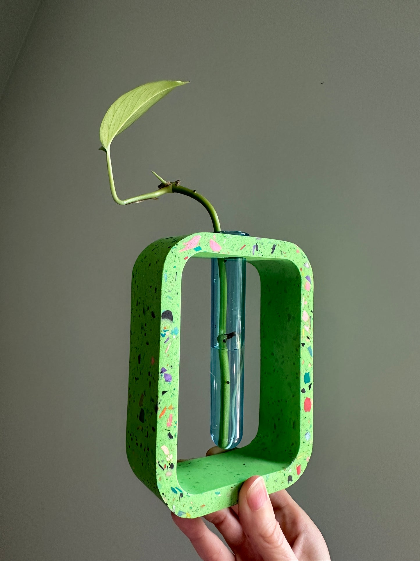 Green Terrazzo Propagation Holder (rectangle)